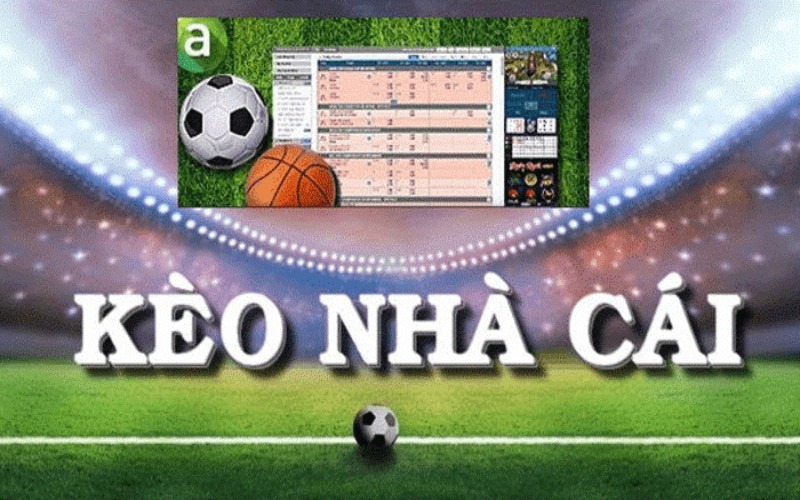 keo-nha-cai-mksport-la-gi